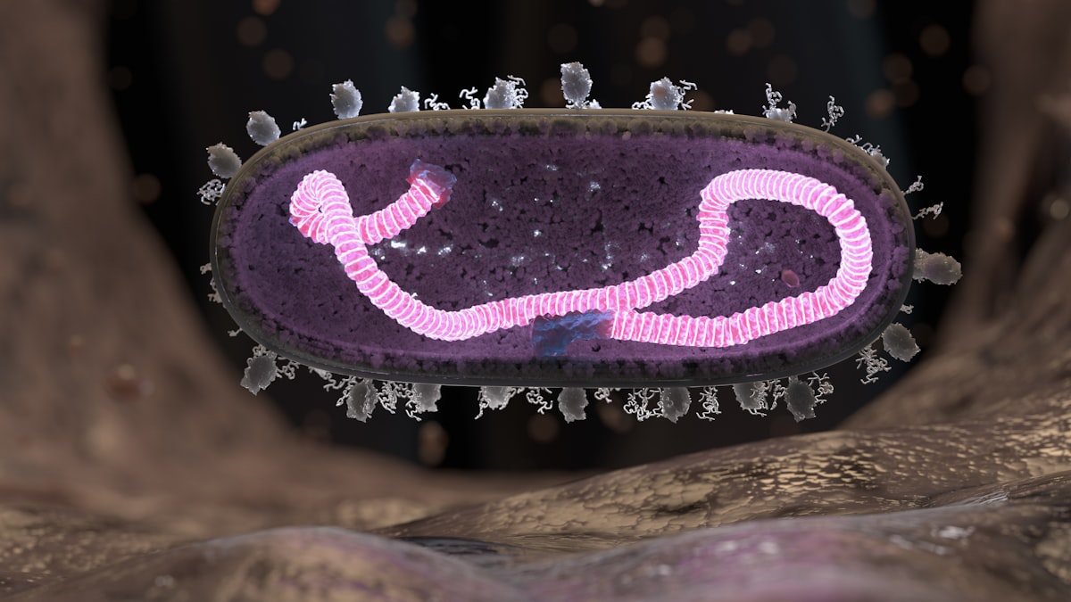 Eisen und Parasiten